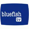 BlueFish TV
