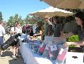 Image of Gallery Item 433a