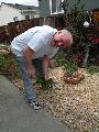 Cres McFall pulls weeds for a senior homeowner in Sunnyvale.