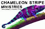 Chameleon Stripe Bible Studies