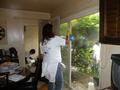 Image of Gallery Item 2643a