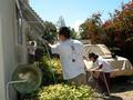 In Santa Clara, Jane Chen, Miranda Jung and Kyle Chuang washed screens and windows for a 90-year-old senior homeowner.