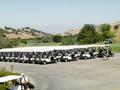The golf carts ready for their passengers.