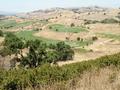 Cinnabar Hills Golf Club in San Jose has beautiful views.