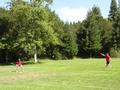 Image of Gallery Item 3240a