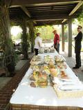 Image of Gallery Item 3300a