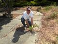 Jimmy Nappo tackles the weeds.