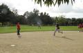 Image of Gallery Item 4454a