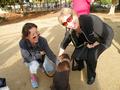 Treasurer Phyllis Carmichael admiring Emma's dog.