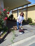 Jenny Tien gets ready to help a senior.