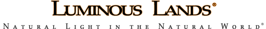 Image of Logo splash