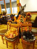 Image of Gallery Item 5293a