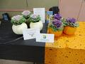 Donated by On the Move
