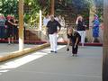 Image of Gallery Item 6377a