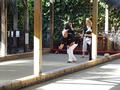 Image of Gallery Item 6401a