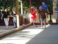 Image of Gallery Item 6402a