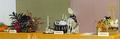 Image of Gallery Item 6647a