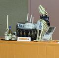 Image of Gallery Item 6662a