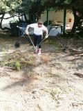 Kacy Buchin cuts a shrub.
