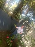 Kacy Buchin helping with yard work.