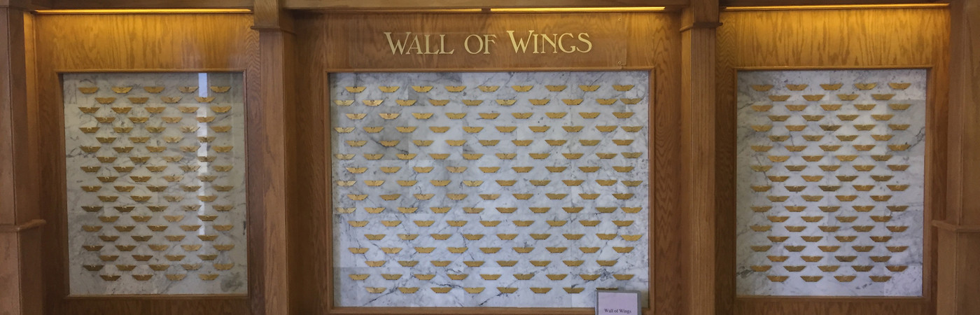 Image about Wall of Wings