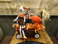 Image of Gallery Item 7734a