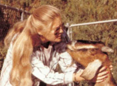 Image of Sherry DeBoer