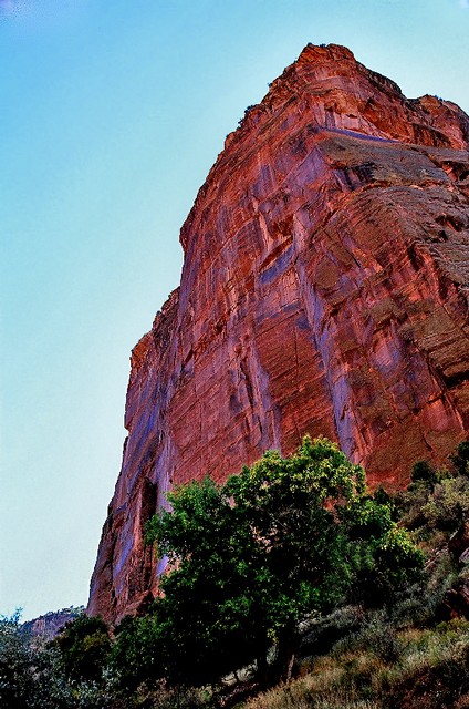 Red rock rising, Canyon del Muerto, Arizona