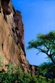 Cliff face, Canyon del Muerto, Arizona