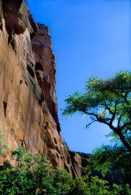 Cliff face, Canyon del Muerto, Arizona