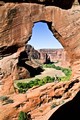Vista beneath natural bridge in rock wall, Canyon del Muerto, Arizona