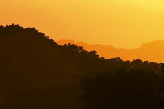 Golden light on ridges (#3), Big Sur, California