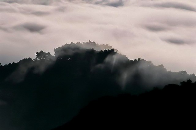 Fog is surf in the sky (#1)..., Big Sur, California