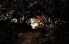 Last light on a Big Sur path (#2, color)..., California