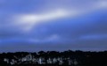 Storm over Monterey Pines, Big Sur, California
