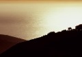 Golden sea, Big Sur, California