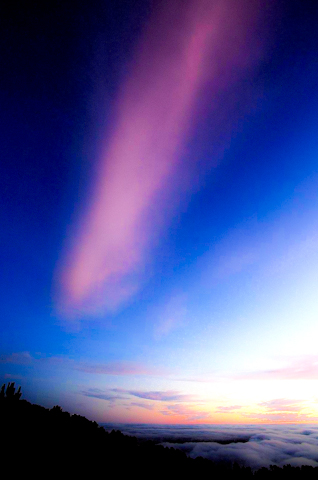 Lavender cloudstreak, Big Sur, California