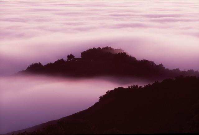 Fog flows at twilight (#1, horizontal), Big Sur, California