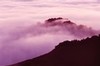 Fog flows at twilight (#2, horizontal), California