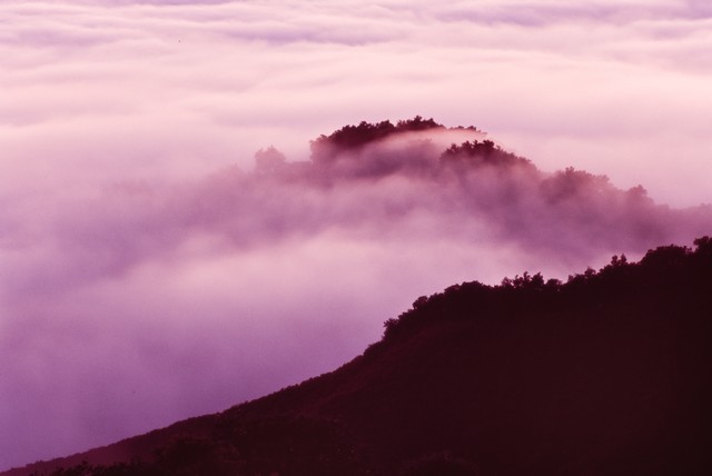 Fog flows at twilight (#2, horizontal), California
