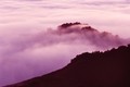 Fog flows at twilight (#2, horizontal), California