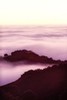 Fog flows at twilight (#3, vertical), California