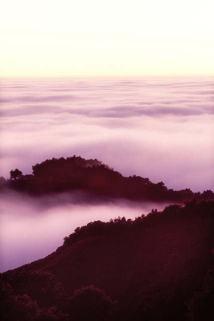 Fog flows at twilight (#3, vertical), California