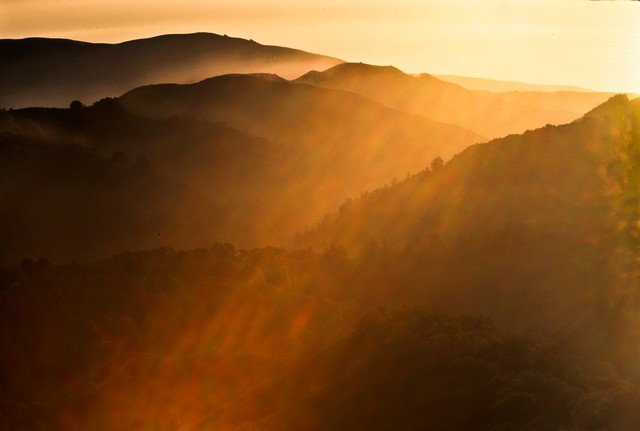 Mist shimmers in setting sun (#1)... Big Sur, California