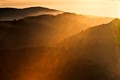 Mist shimmers in setting sun (#1)... Big Sur, California