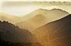Mist shimmers in afternoon sun (#2)... Big Sur, California