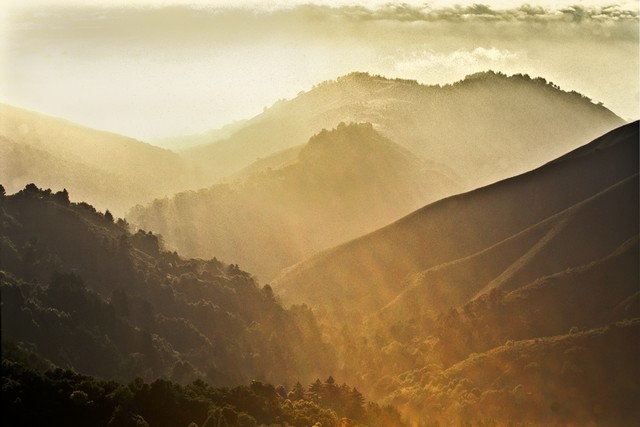 Mist shimmers in afternoon sun (#2)... Big Sur, California