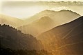 Mist shimmers in afternoon sun (#2)... Big Sur, California
