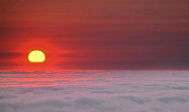 Yellow sun slips into fog, Big Sur, California