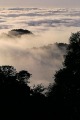 Late afternoon fog... Big Sur, California